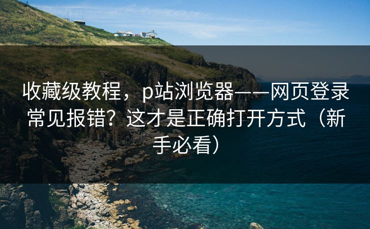 收藏级教程，p站浏览器——网页登录常见报错？这才是正确打开方式（新手必看）