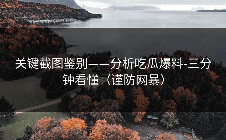 关键截图鉴别——分析吃瓜爆料-三分钟看懂（谨防网暴）
