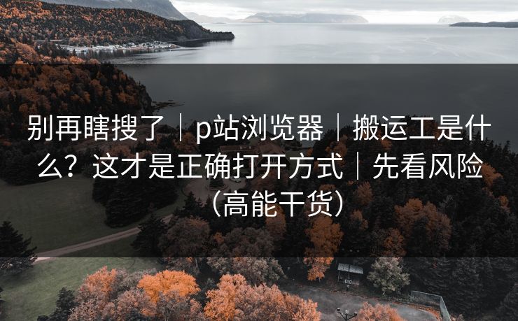 别再瞎搜了｜p站浏览器｜搬运工是什么？这才是正确打开方式｜先看风险（高能干货）