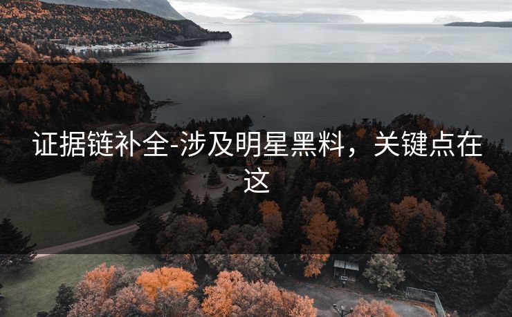 证据链补全-涉及明星黑料，关键点在这