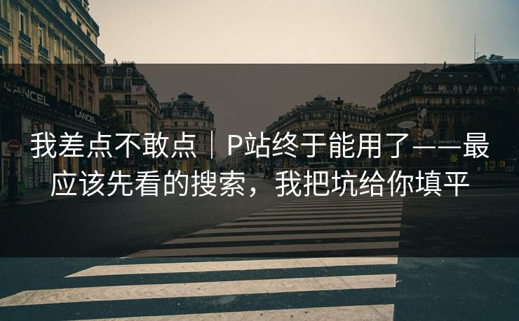 我差点不敢点｜P站终于能用了——最应该先看的搜索，我把坑给你填平
