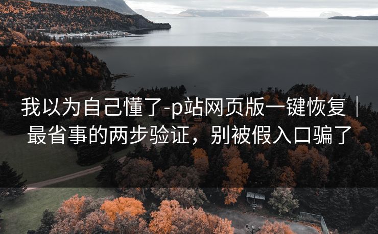 我以为自己懂了-p站网页版一键恢复｜最省事的两步验证，别被假入口骗了