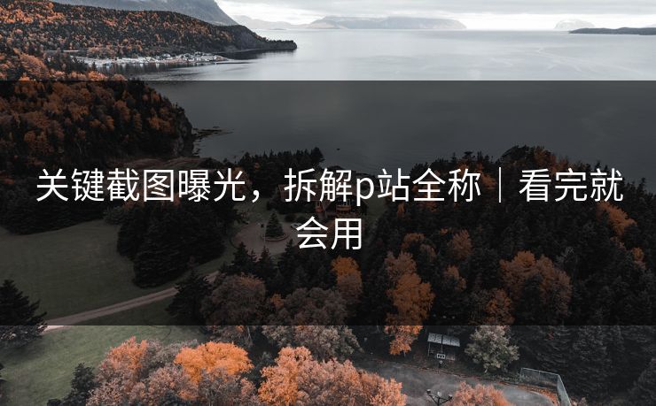 关键截图曝光，拆解p站全称｜看完就会用