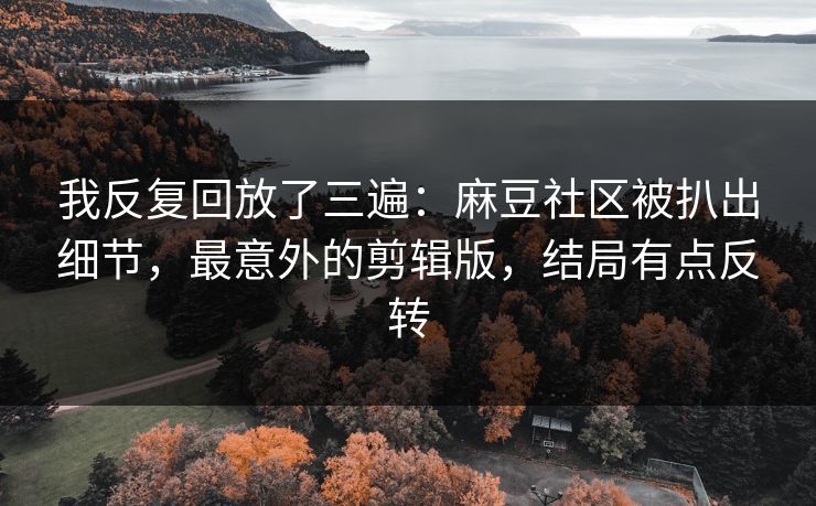 我反复回放了三遍:麻豆社区被扒出细节,最意外的剪辑版,结局有点反转 我反复回放了三遍:麻豆社区被扒出细节,最意外的剪辑版,结局有点反转
