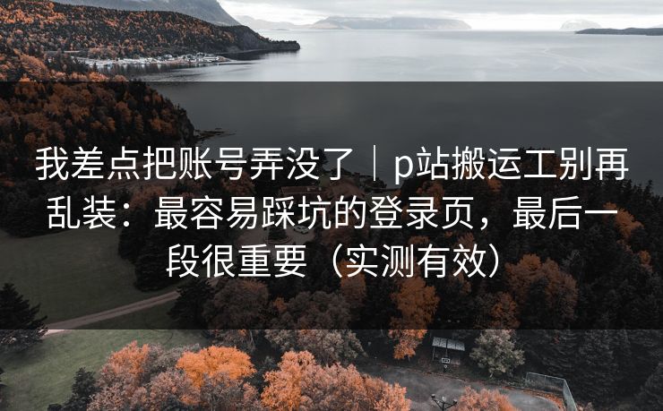 我差点把账号弄没了｜p站搬运工别再乱装：最容易踩坑的登录页，最后一段很重要（实测有效）