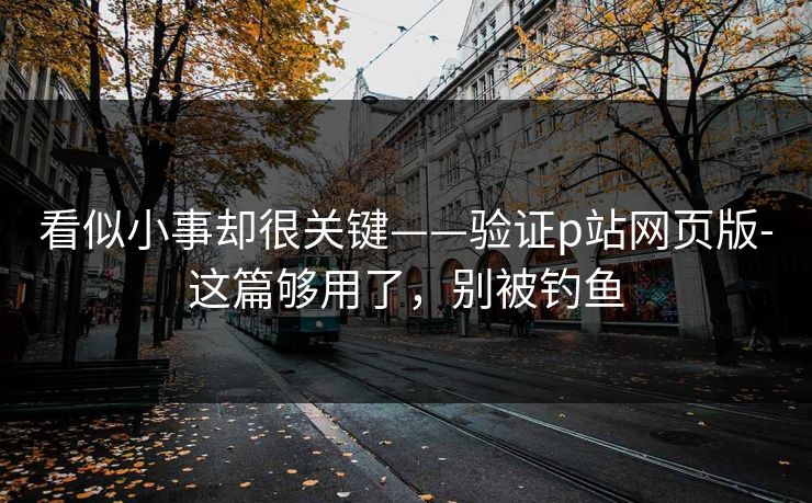 看似小事却很关键——验证p站网页版-这篇够用了，别被钓鱼